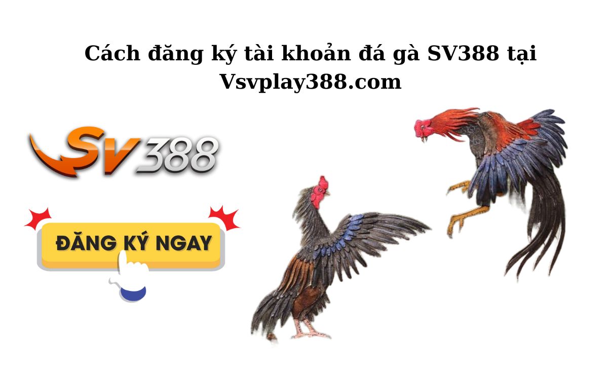 Cách đăng ký tài khoản đá gà SV388 tại Vsvplay388.com