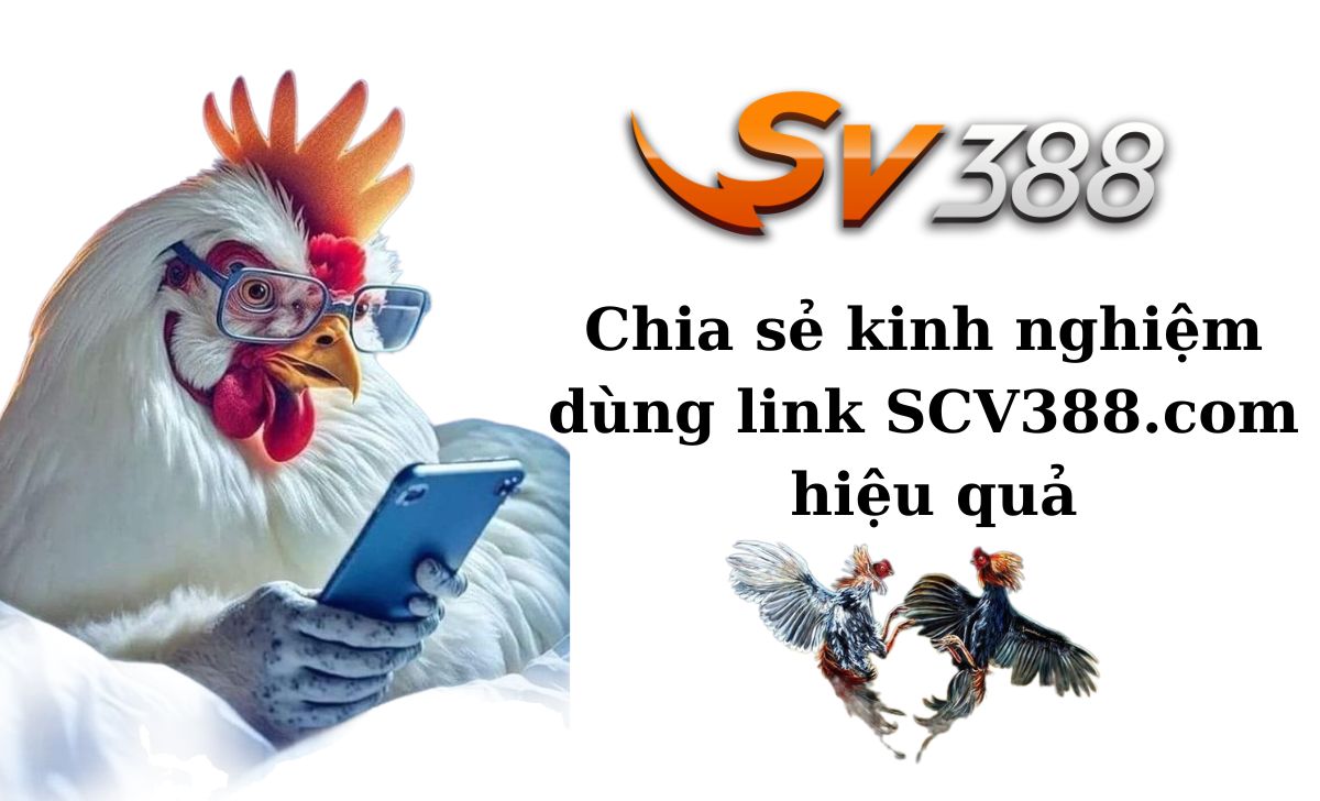 Chia sẻ kinh nghiệm dùng link SCV388.com hiệu quả