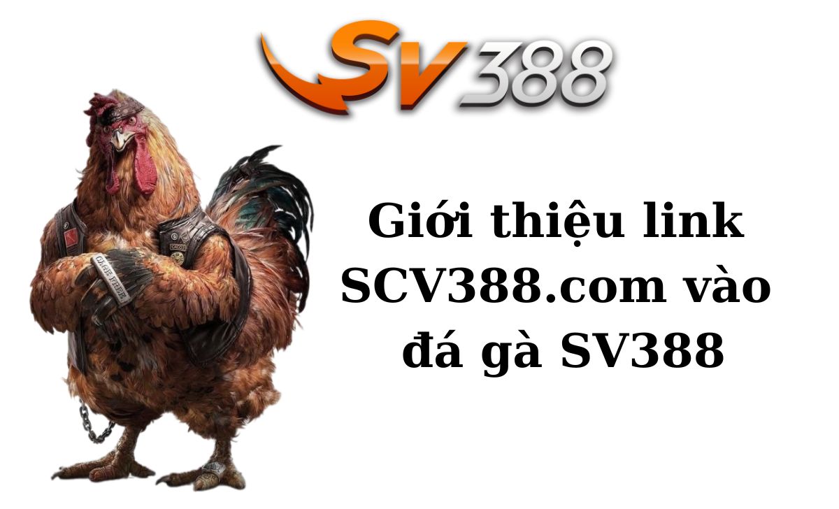 Giới thiệu link SCV388.com vào đá gà SV388