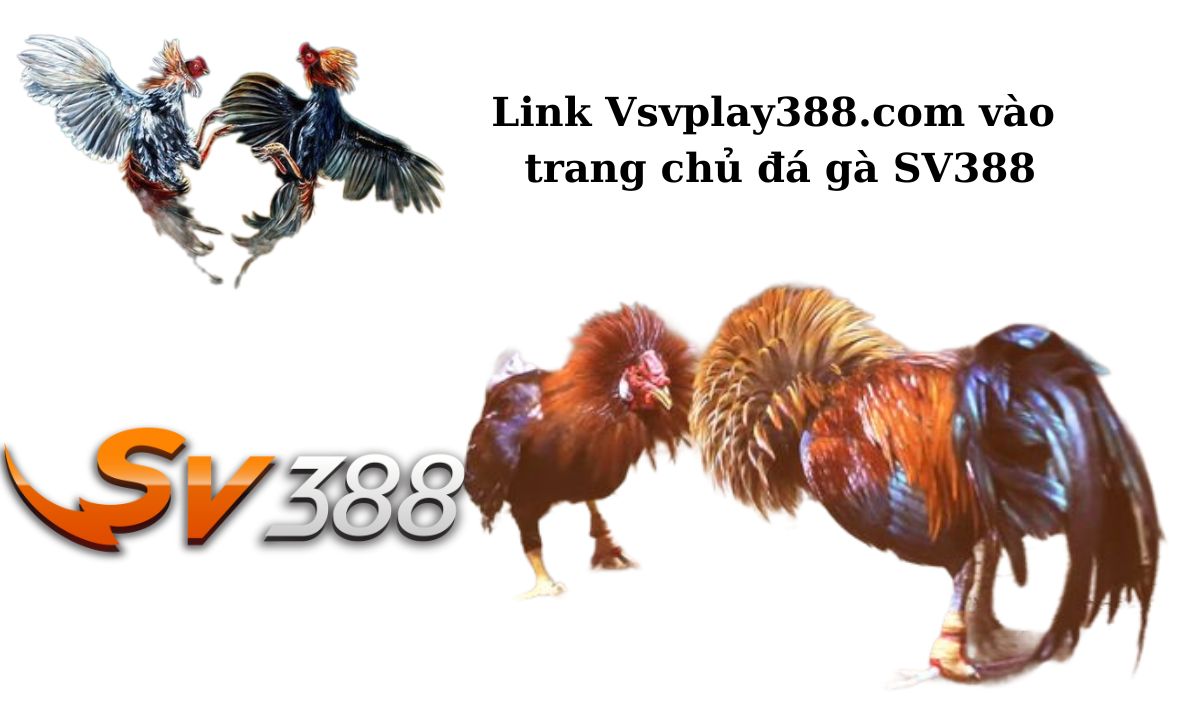 Link Vsvplay388.com vào trang chủ đá gà SV388