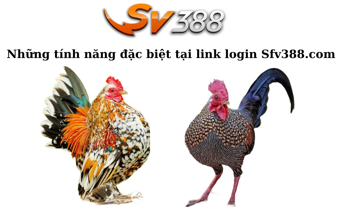 Những tính năng đặc biệt tại link login Sfv388.com