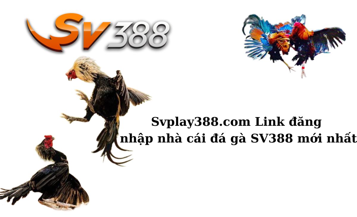 Svplay388.com Link đăng nhập nhà cái đá gà SV388 mới nhất