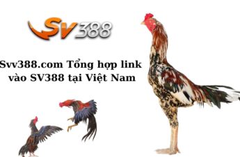 Svv388.com Tổng hợp link vào SV388 tại Việt Nam