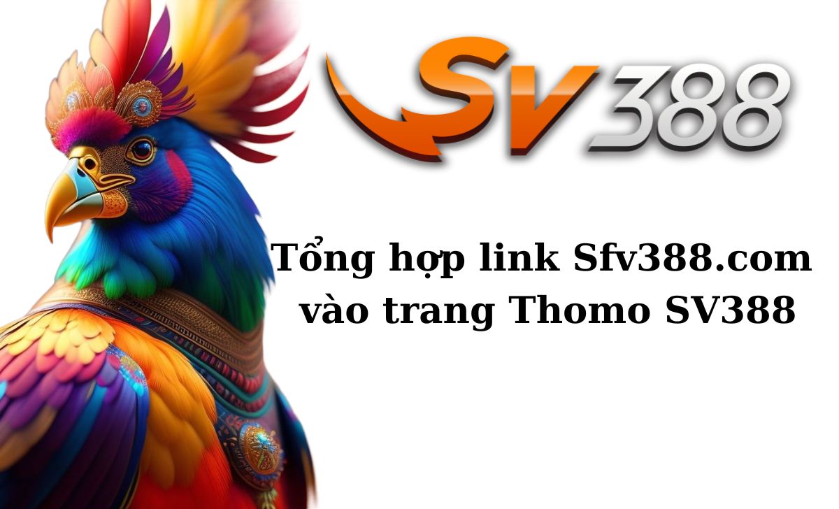 Tổng hợp link Sfv388.com vào trang Thomo SV388