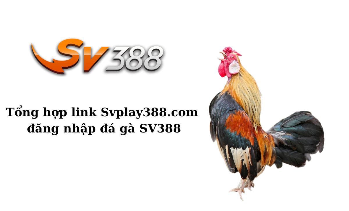 Tổng hợp link Svplay388.com đăng nhập đá gà SV388