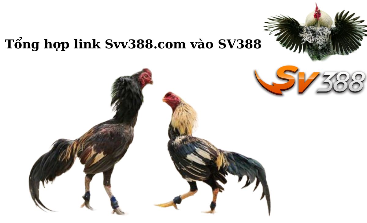 Tổng hợp link Svv388.com vào SV388
