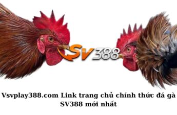 Vsvplay388.com Link trang chủ chính thức đá gà SV388 mới nhất